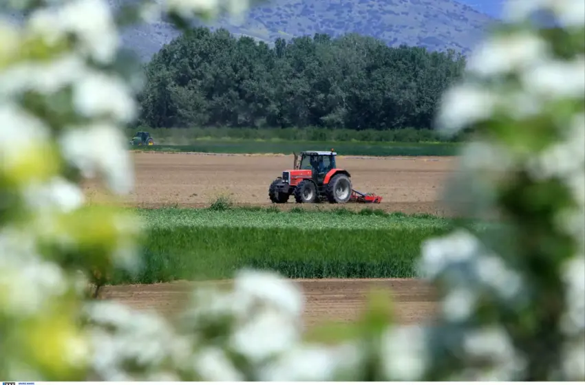  ΗΜΑΘΙΑ: ΣΤΑ ΧΩΡΑΦΙΑ ΜΕΤΑ ΑΠΟ 30 ΟΛΟΚΛΗΡΑ ΧΡΟΝΙΑ ΕΛΛΗΝΕΣ ΕΡΓΑΤΕΣ!